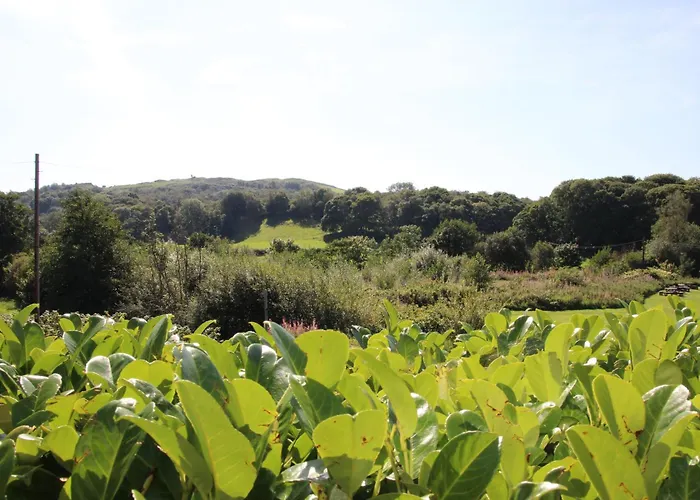 District 4 Bedroom House, Ings, Cumbria. * 켄달